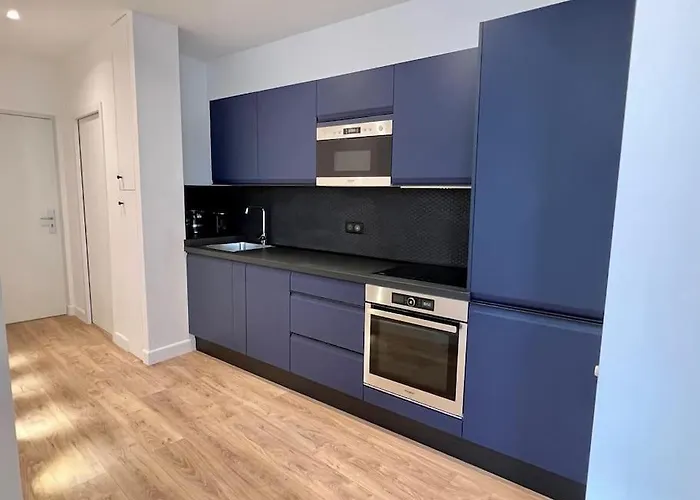 Bright Newly Renovated With Ac Apartment